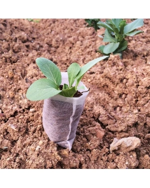 20x Biologisch afbreekbare stek zakjes