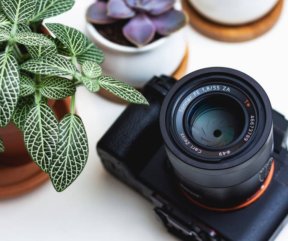 camera en plant op tafel