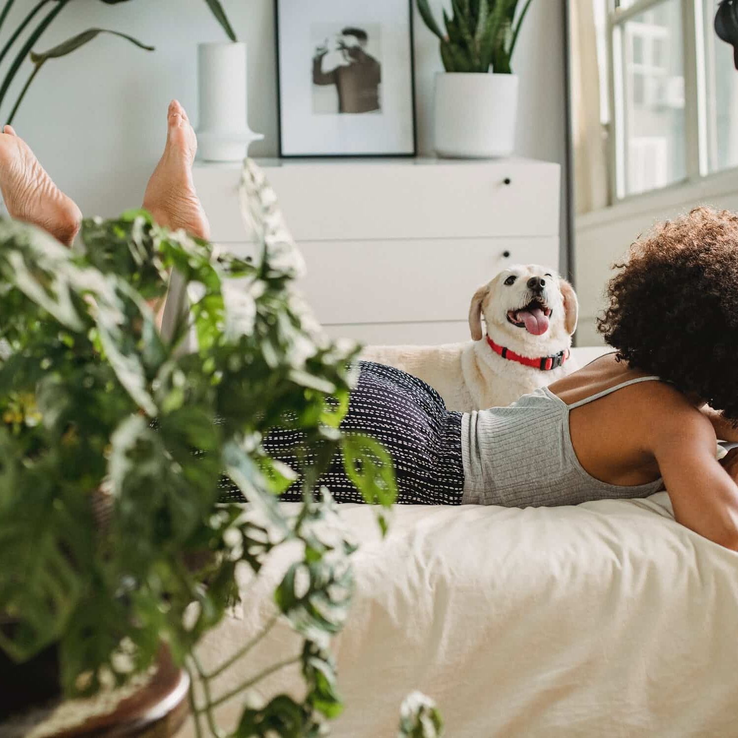 planten in slaapkamer