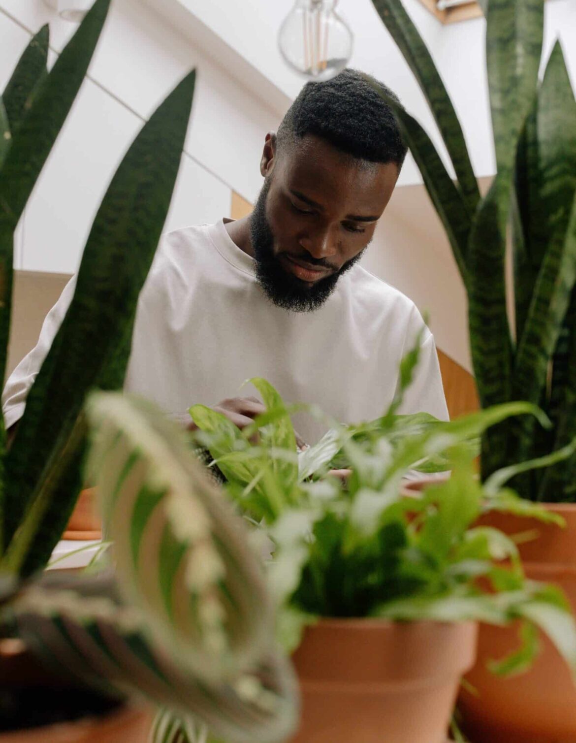 man plant verzorging