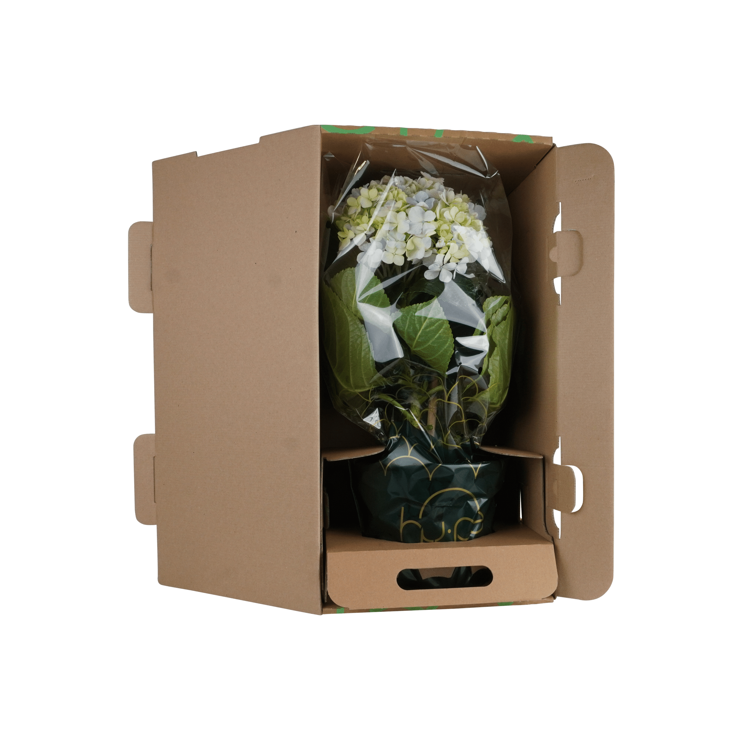 Verzendinformatie 2 verpakking pots&plants