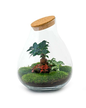 DIY Terrarium - Drop Xl - ↑ 37 Cm
