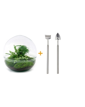 DIY terrarium - Dome XL