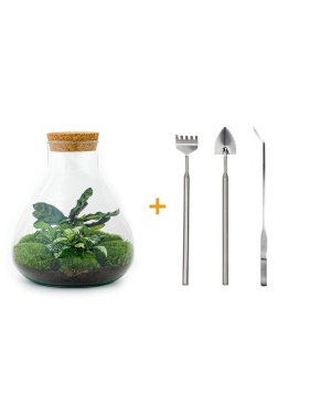 DIY terrarium - Sammie - ↑ 27 cm