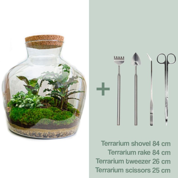 DIY terrarium - Fat Joe - ↑ 30 cm + Rake + Shovel + Tweezer + Scissors