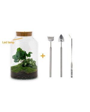 DIY Terrarium - Dome Red met mini Toolset