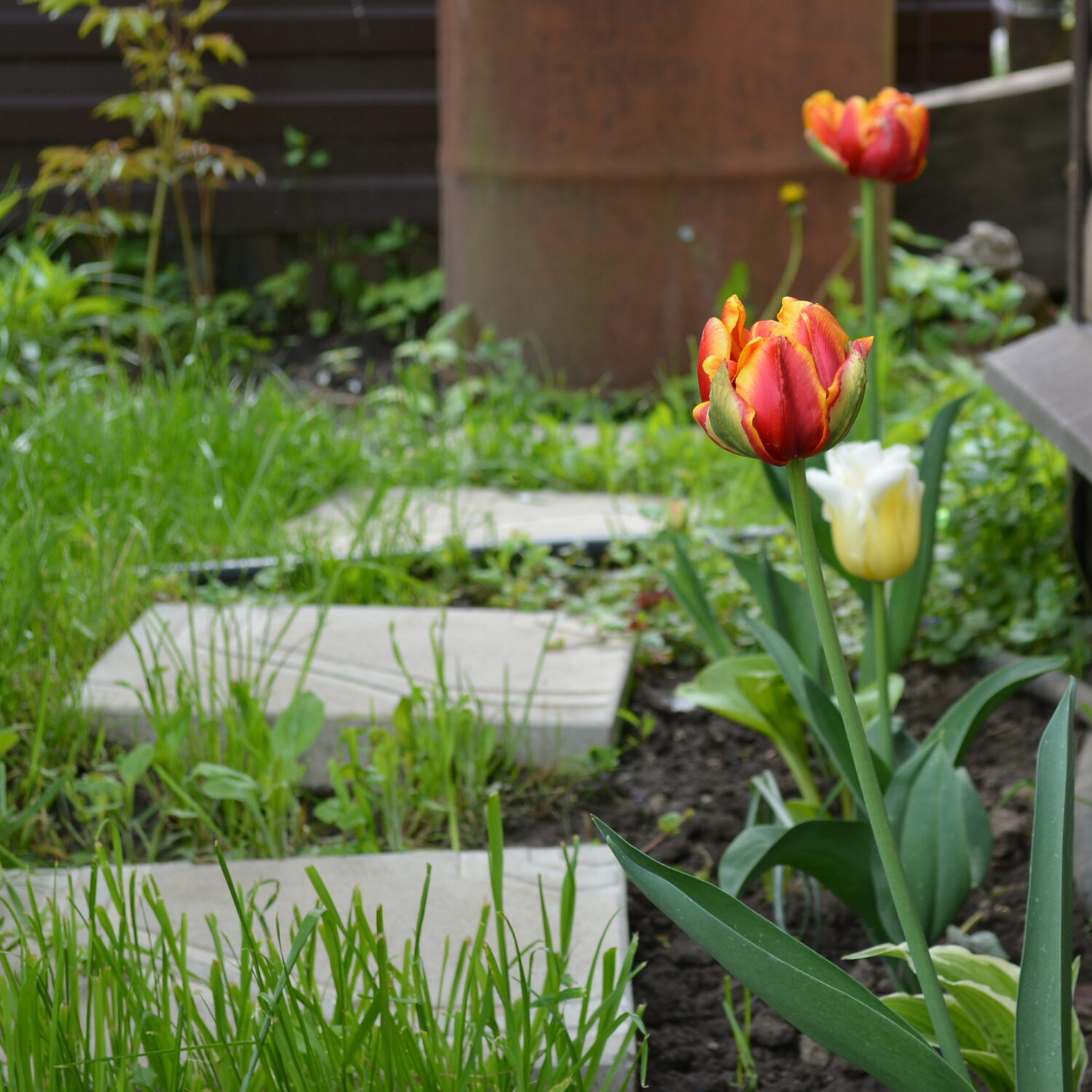 De tuin voorbereiden op het nieuwe seizoen: wat kun je doen in januari en februari? 7 close up flower pot