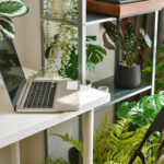 home office decorate with green nature tree plants workspace laptop computer desk artificial houseplant home living room interior