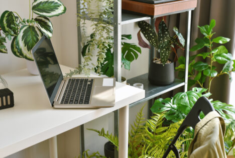home office decorate with green nature tree plants workspace laptop computer desk artificial houseplant home living room interior