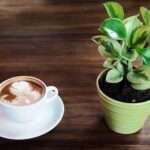 plant naast een kop koffie