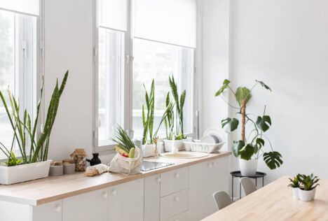 De mooiste planten voor in de keuken 3 keuken planten