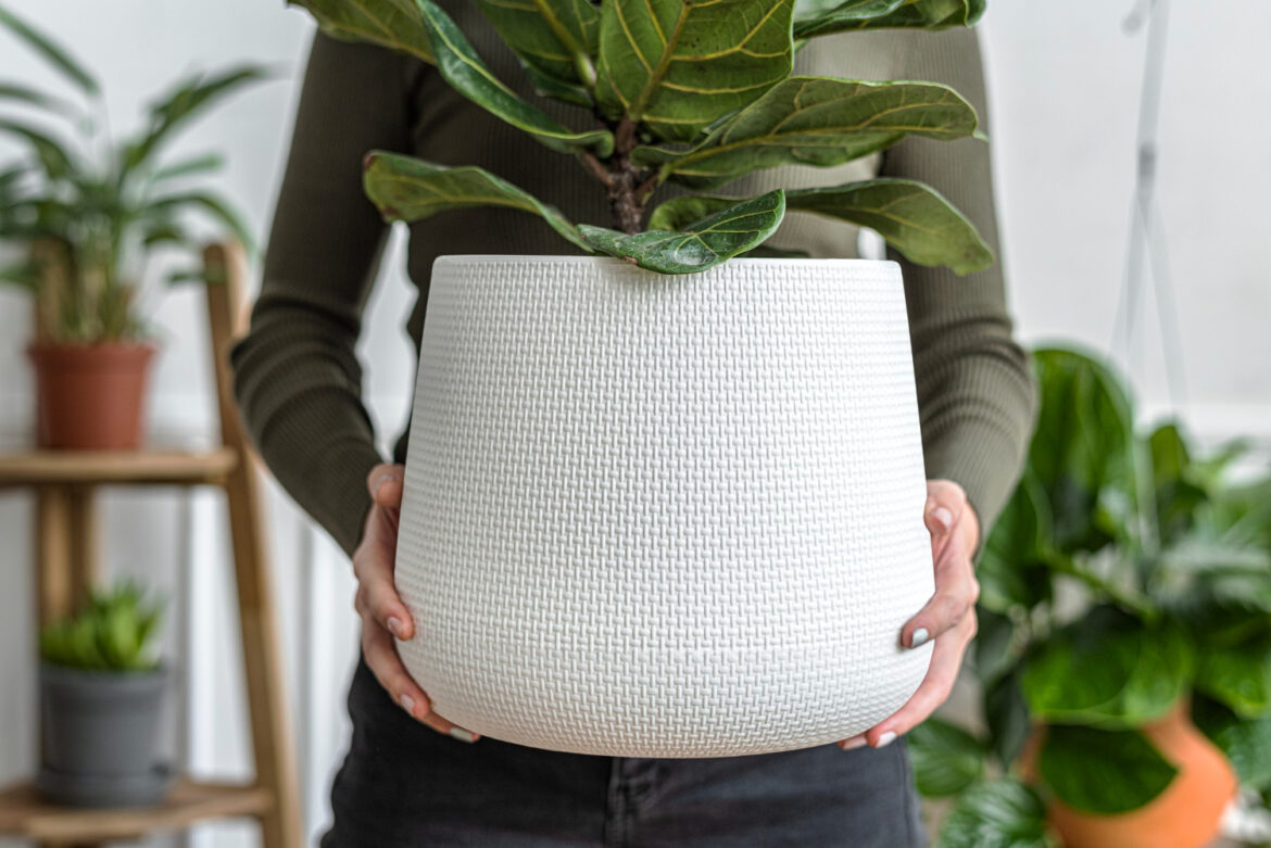 plantenpotten