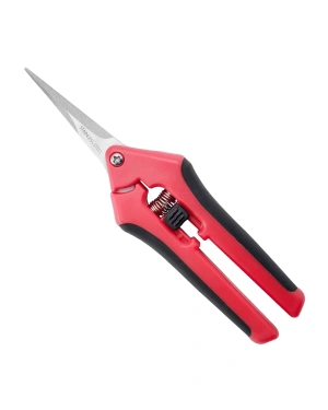 snoeischaar rood